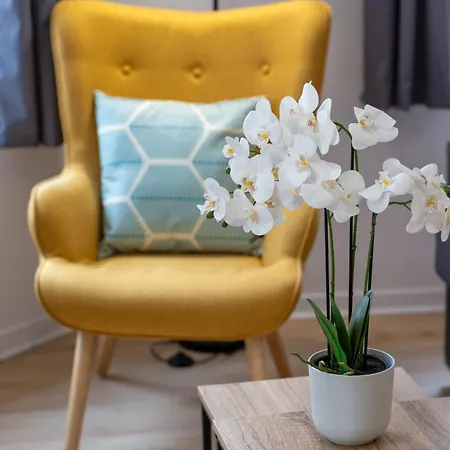 Daire Charmants 2 Pieces - Hyper Centre De *